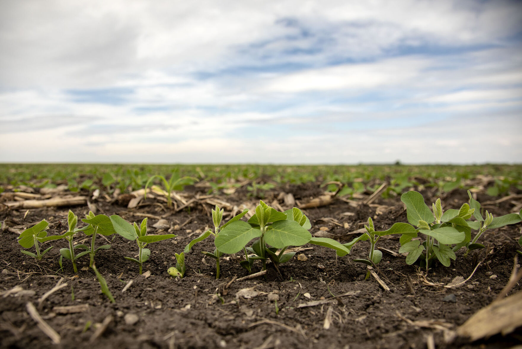 Hot, dry stretch should put a wrap on planting